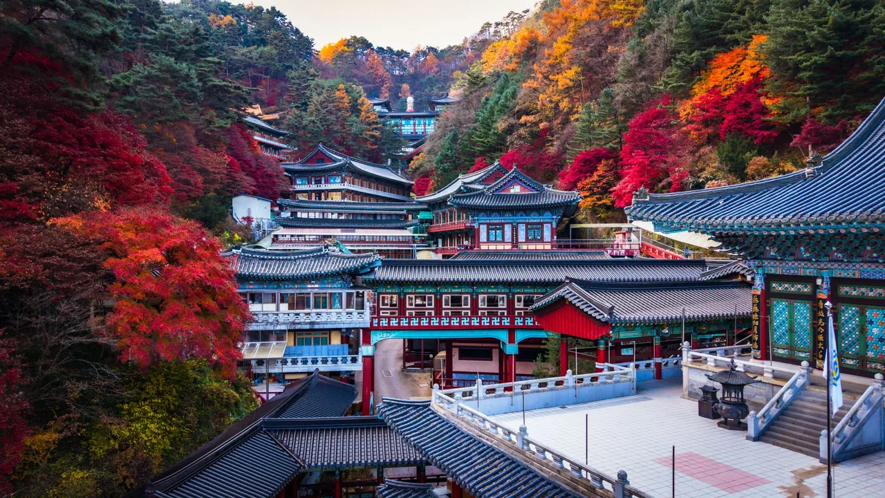 Daegu Apple Festival and Traditional Medicine Market Guide — Autumn foliage in Korea